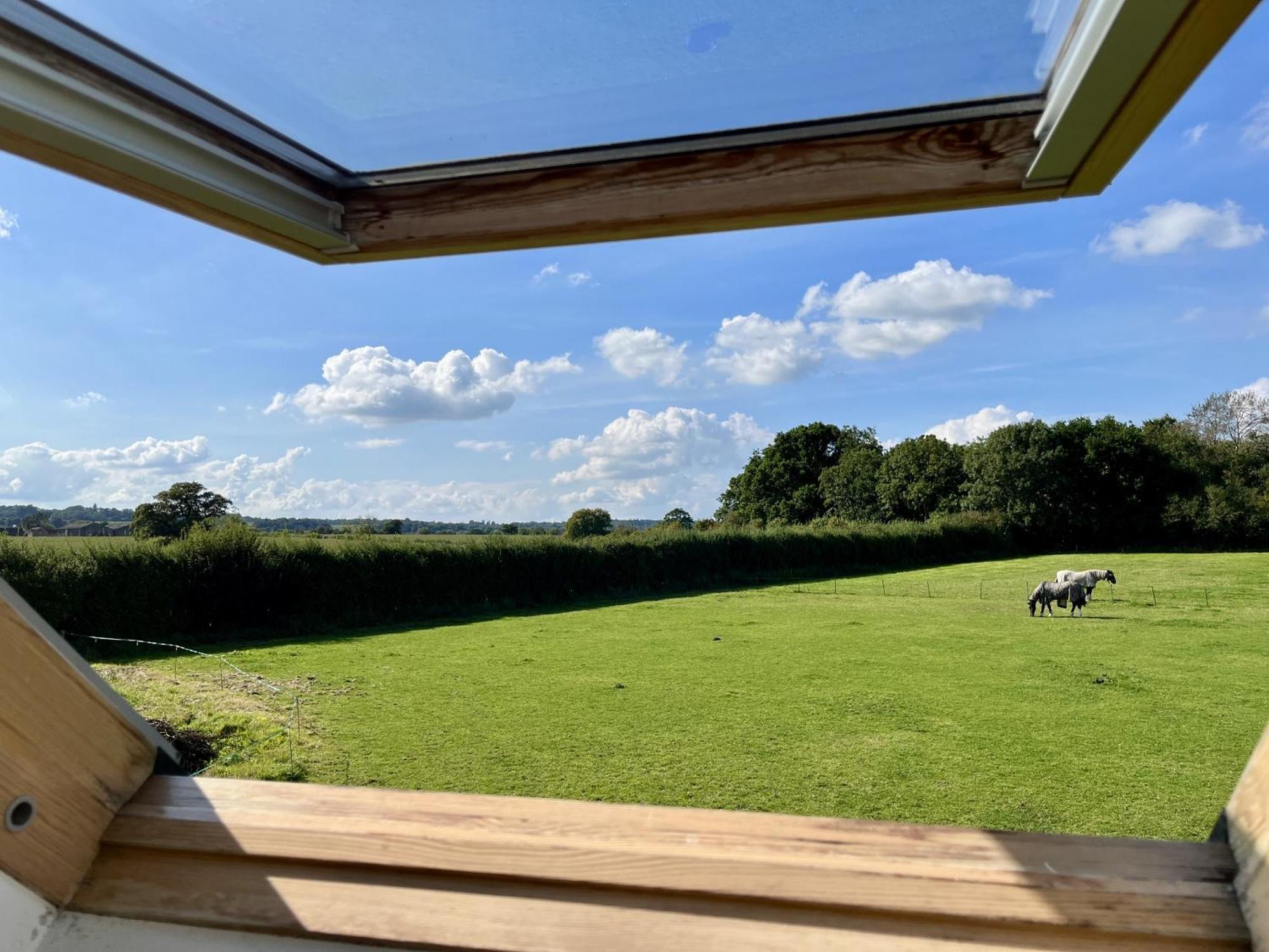 Priors Oak - A Cosy Studio With Countryside Views In Dorset Stalbridge Exteriér fotografie